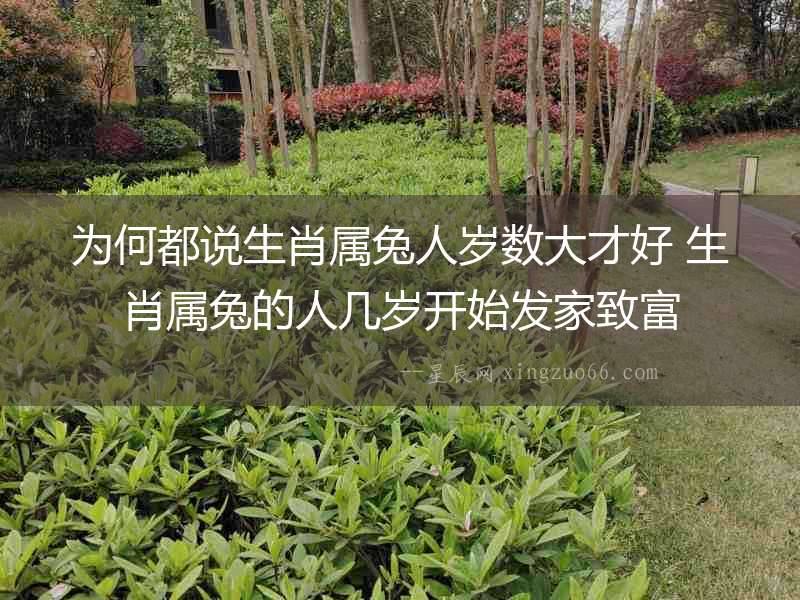 為何都說生肖屬兔人歲數大才好 生肖屬兔的人幾歲開始發家致富