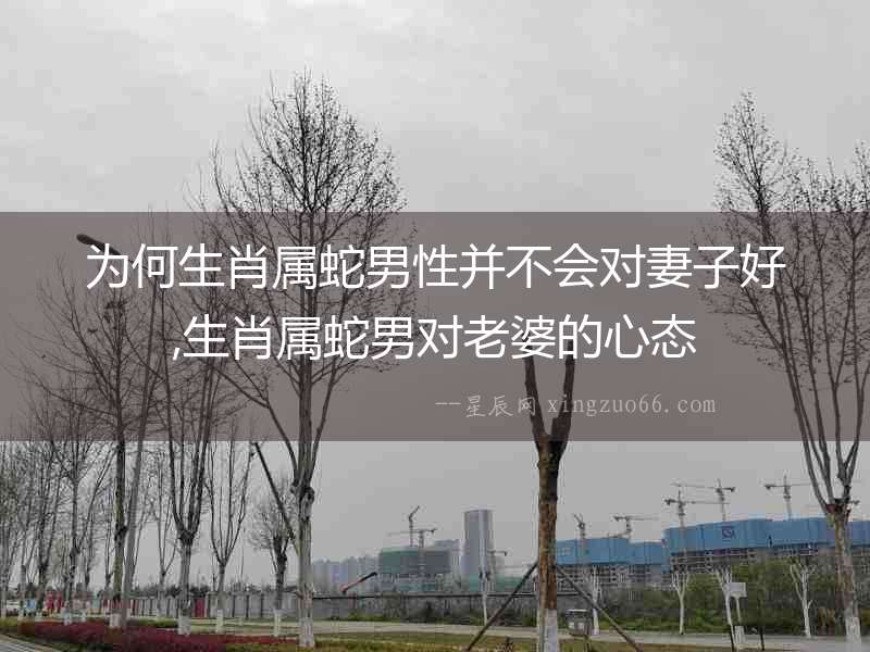 為何生肖屬蛇男性并不會對妻子好,生肖屬蛇男對老婆的心態(tài)