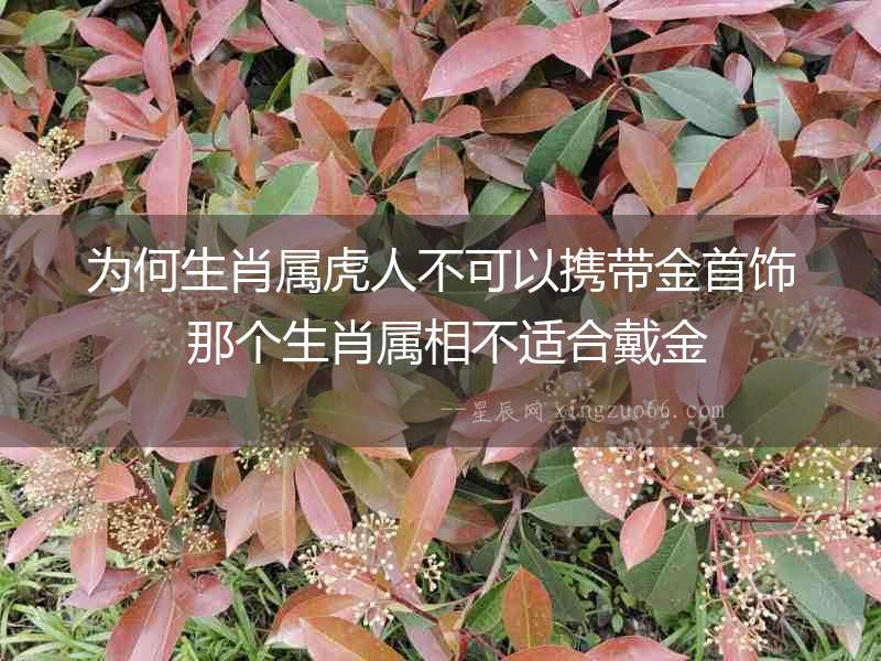 為何生肖屬虎人不可以攜帶金首飾 那個生肖屬相不適合戴金