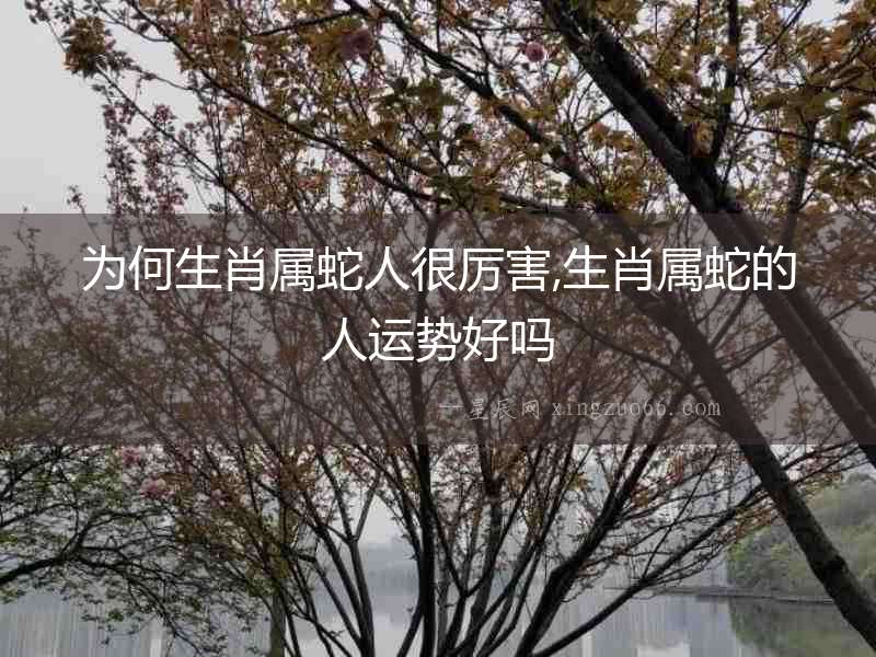為何生肖屬蛇人很厲害,生肖屬蛇的人運(yùn)勢好嗎
