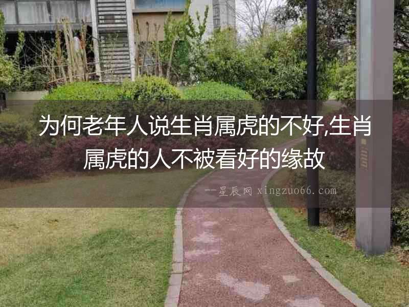 為何老年人說生肖屬虎的不好,生肖屬虎的人不被看好的緣故