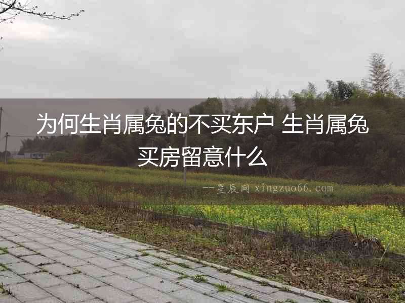 為何生肖屬兔的不買東戶 生肖屬兔買房留意什么
