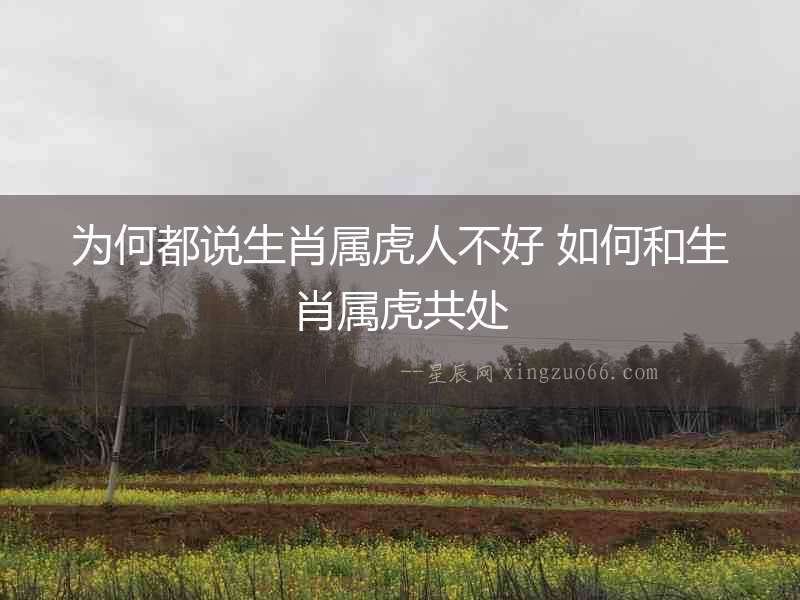 為何都說(shuō)生肖屬虎人不好 如何和生肖屬虎共處