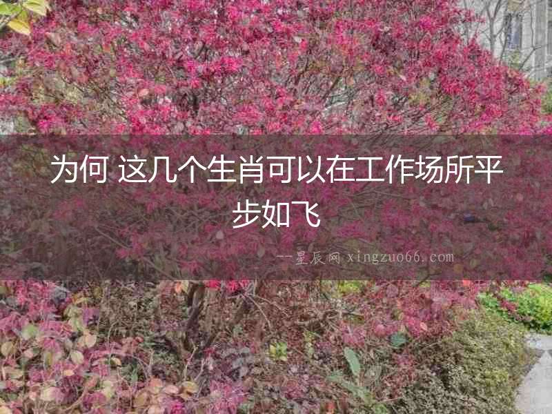 為何 這幾個(gè)生肖可以在工作場(chǎng)所平步如飛
