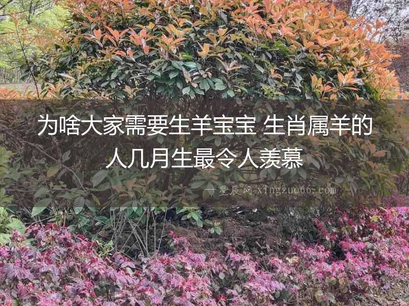 為啥大家需要生羊寶寶 生肖屬羊的人幾月生最令人羨慕