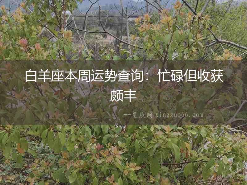 白羊座本周運(yùn)勢查詢：忙碌但收獲頗豐
