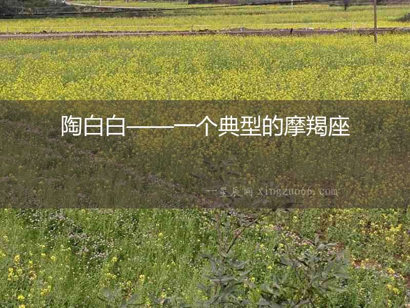 陶白白——一個典型的摩羯座