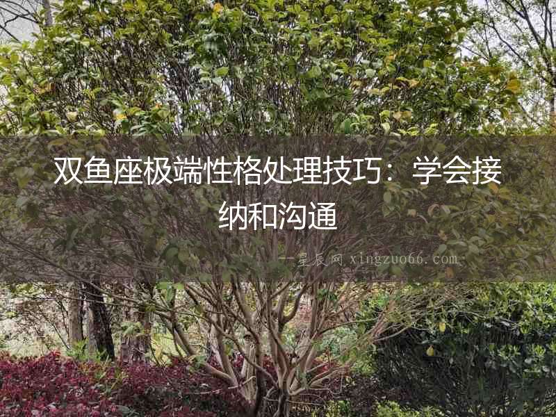 雙魚座極端性格處理技巧：學(xué)會接納和溝通