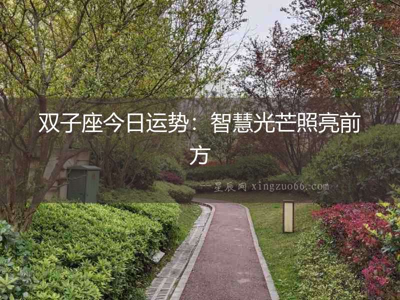 雙子座今日運勢：智慧光芒照亮前方