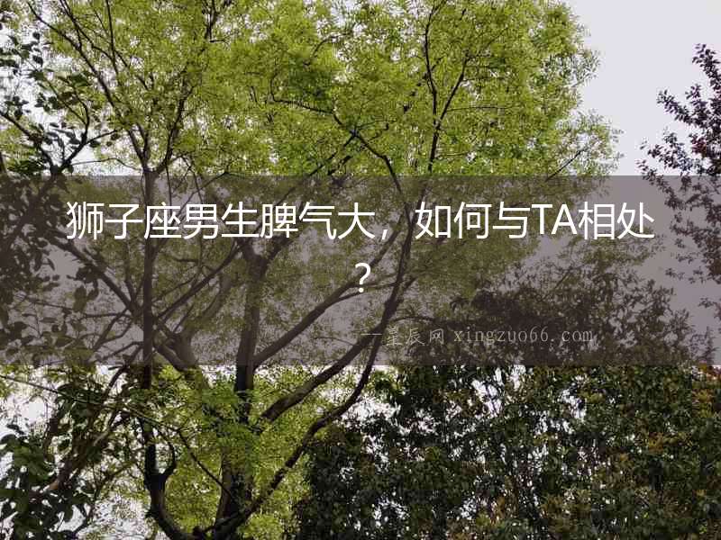 獅子座男生脾氣大，如何與TA相處？