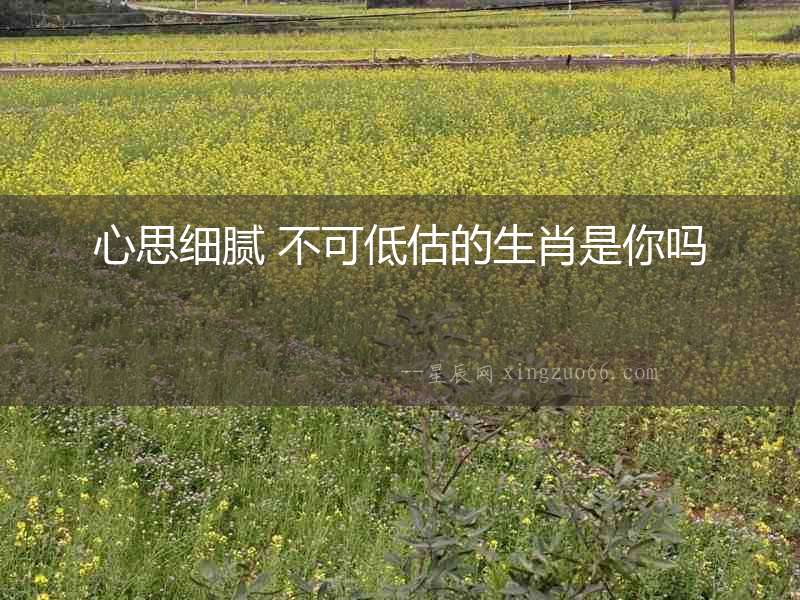 心思細膩 不可低估的生肖是你嗎