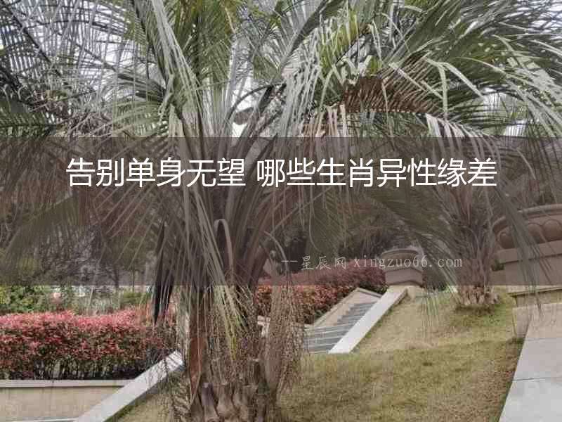 告別單身無望 哪些生肖異性緣差