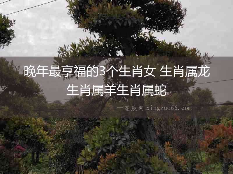 晚年最享福的3個(gè)生肖女 生肖屬龍生肖屬羊生肖屬蛇