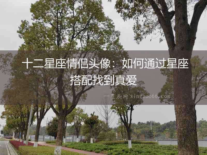  十二星座情侶頭像：如何通過(guò)星座搭配找到真愛(ài)