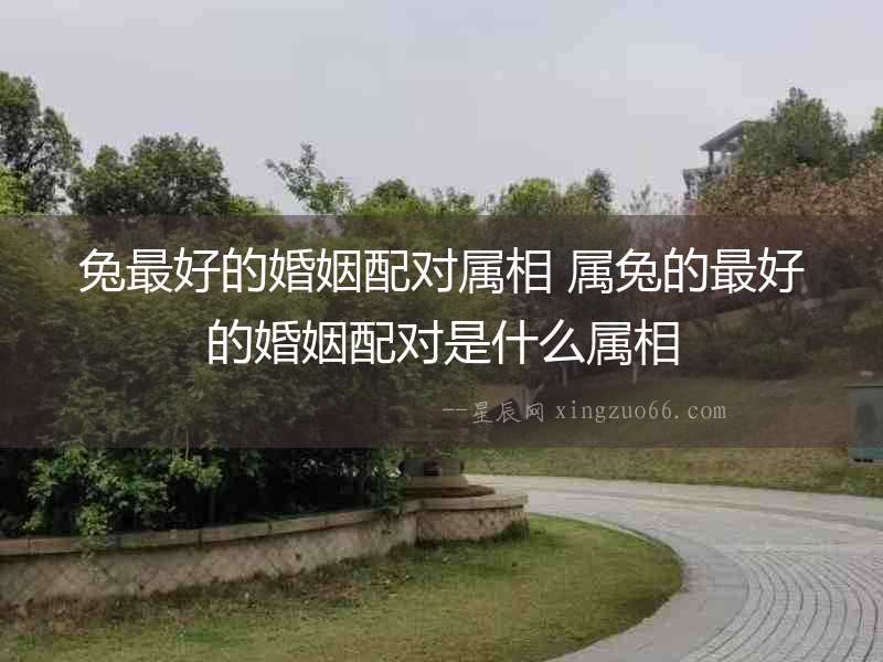 兔最好的婚姻配對屬相 屬兔的最好的婚姻配對是什么屬相