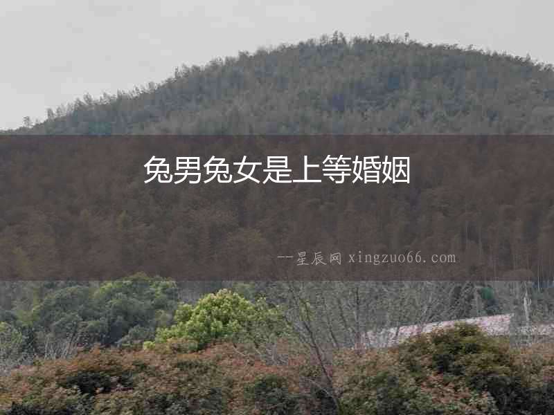 兔男兔女是上等婚姻