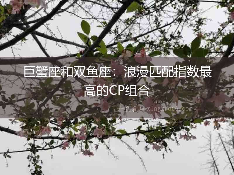 巨蟹座和雙魚座：浪漫匹配指數最高的CP組合