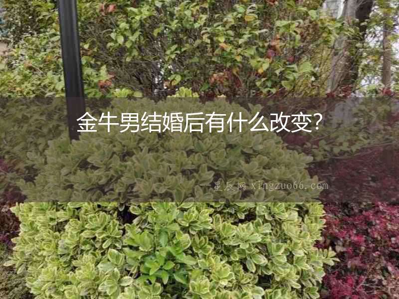 金牛男結婚后有什么改變？