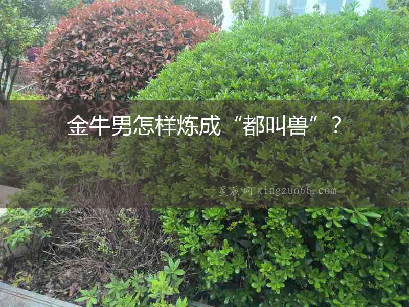 金牛男怎樣煉成“都叫獸”？