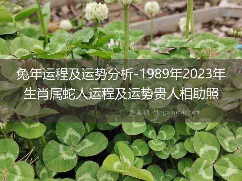 兔年運(yùn)程及運(yùn)勢分析-1989年2023年生肖屬蛇人運(yùn)程及運(yùn)勢貴人相助照料爭取機(jī)遇