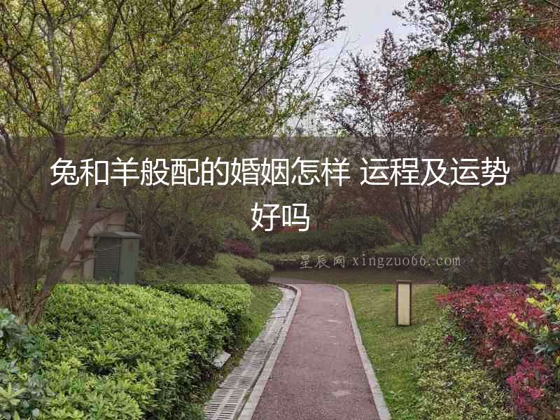 兔和羊般配的婚姻怎樣 運程及運勢好嗎
