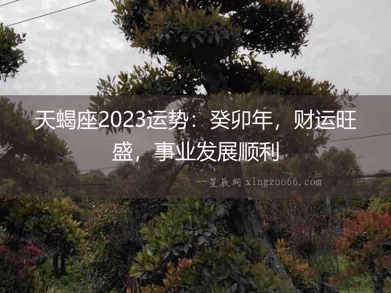 天蝎座2023運勢：癸卯年，財運旺盛，事業發展順利