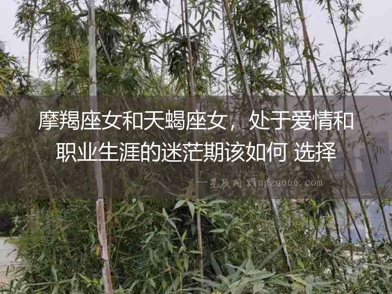 摩羯座女和天蝎座女，處于愛情和職業(yè)生涯的迷茫期該如何 選擇