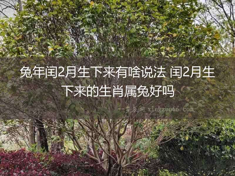 兔年閏2月生下來有啥說法 閏2月生下來的生肖屬兔好嗎