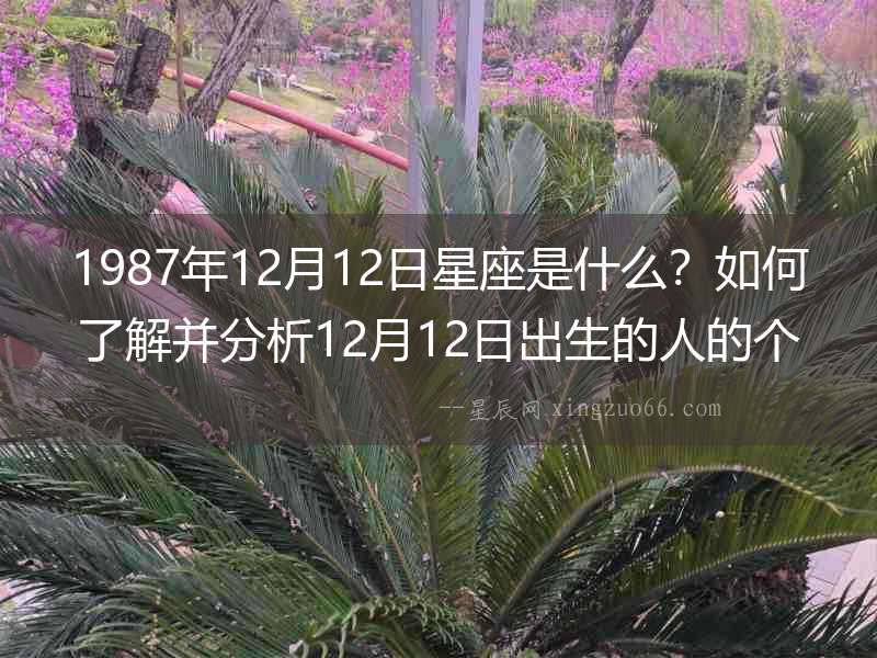 1987年12月12日星座是什么？如何了解并分析12月12日出生的人的個性？