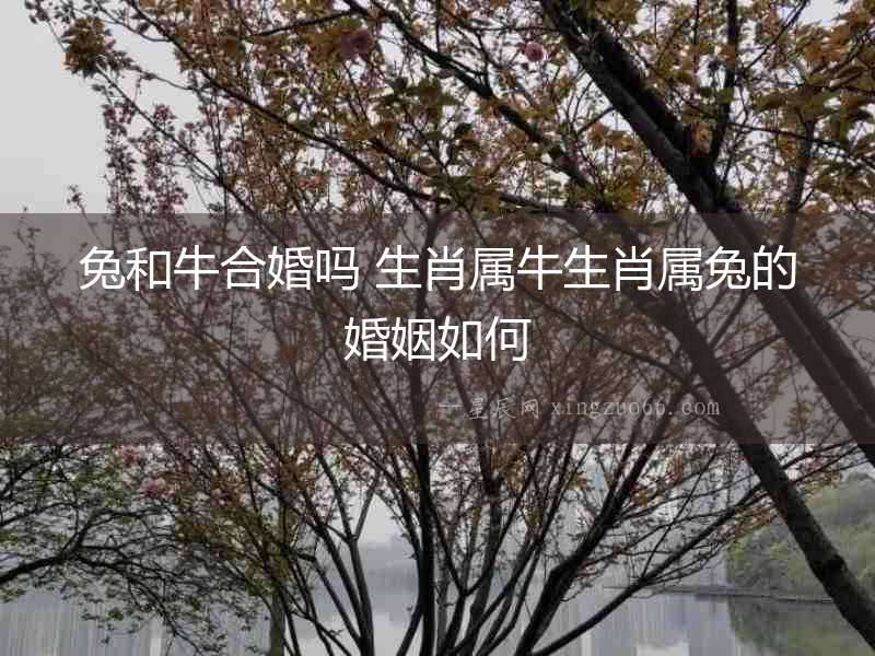 兔和牛合婚嗎 生肖屬牛生肖屬兔的婚姻如何