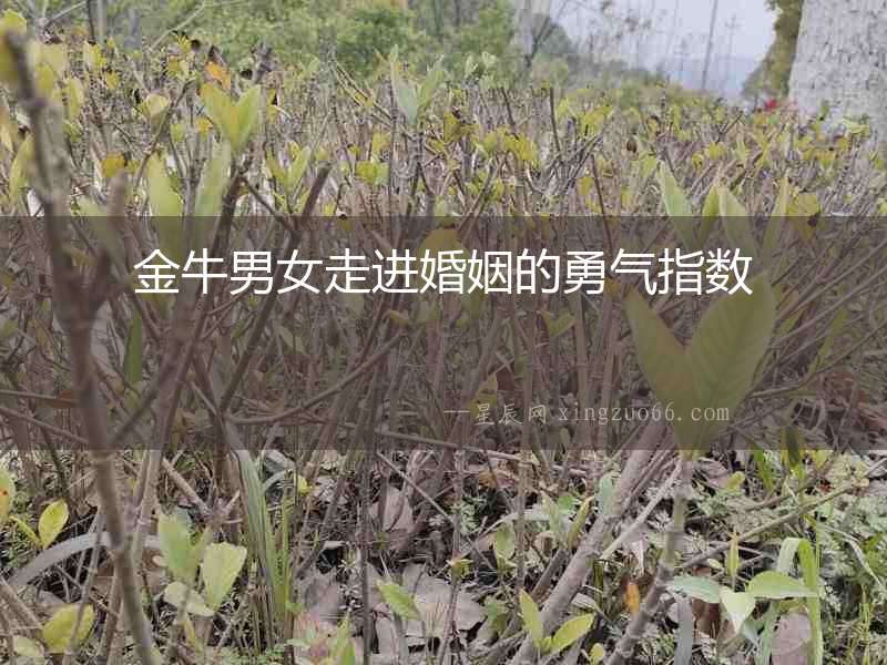 金牛男女走進婚姻的勇氣指數(shù)
