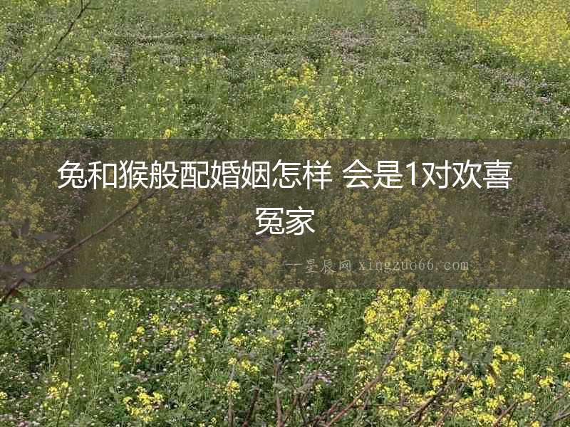 兔和猴般配婚姻怎樣 會是1對歡喜冤家