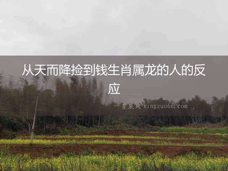 從天而降撿到錢生肖屬龍的人的反應