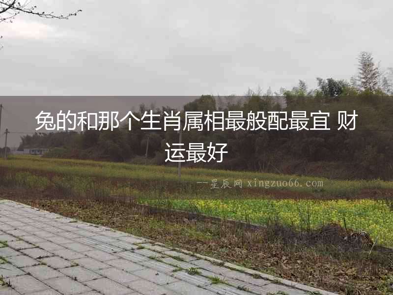 兔的和那個生肖屬相最般配最宜 財運最好