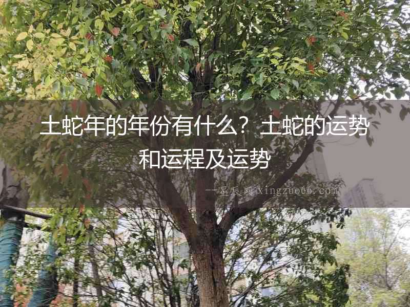 土蛇年的年份有什么？土蛇的運(yùn)勢(shì)和運(yùn)程及運(yùn)勢(shì)