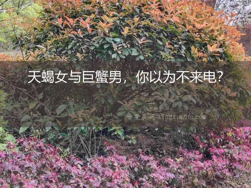 天蝎女與巨蟹男，你以為不來電？