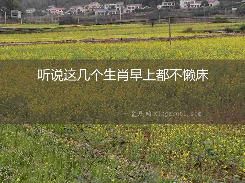 聽說這幾個生肖早上都不懶床