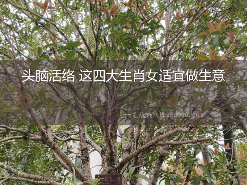 頭腦活絡(luò) 這四大生肖女適宜做生意