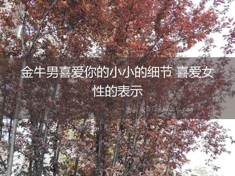 金牛男喜愛你的小小的細節 喜愛女性的表示