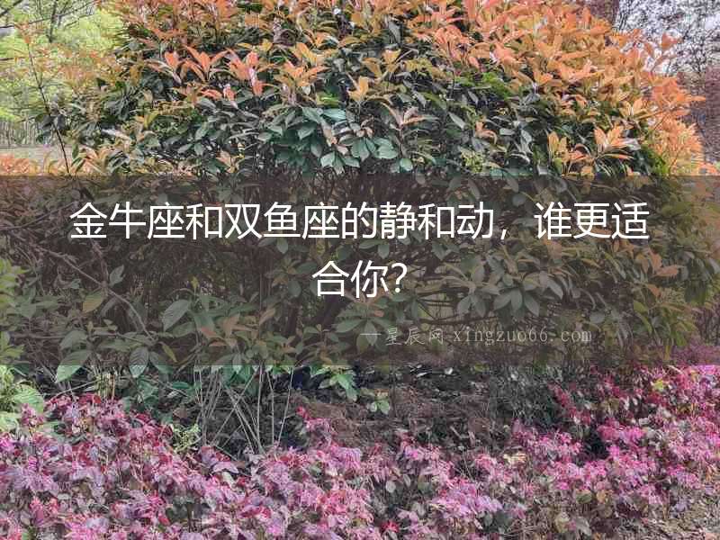 金牛座和雙魚座的靜和動，誰更適合你？