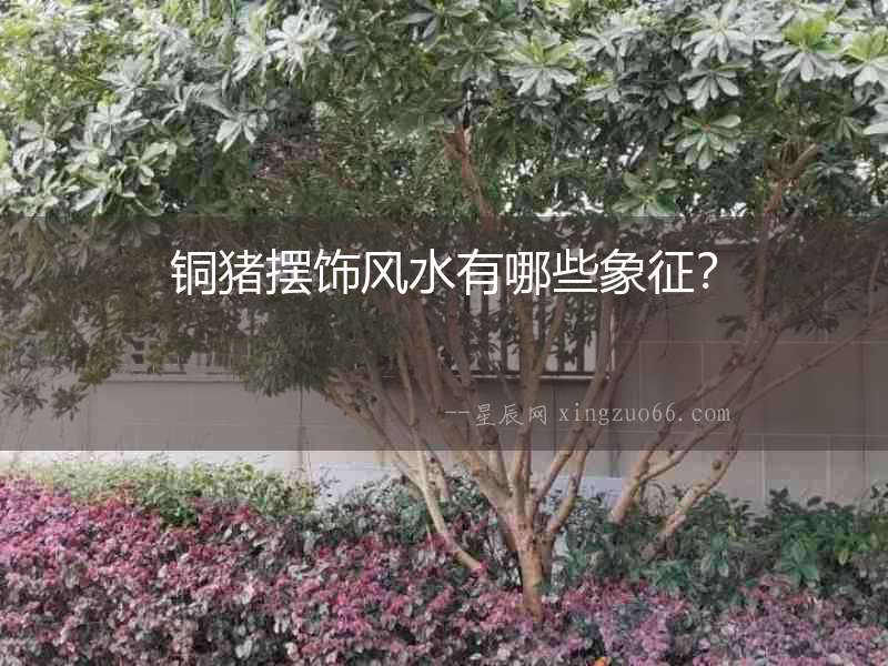 銅豬擺飾風水有哪些象征？