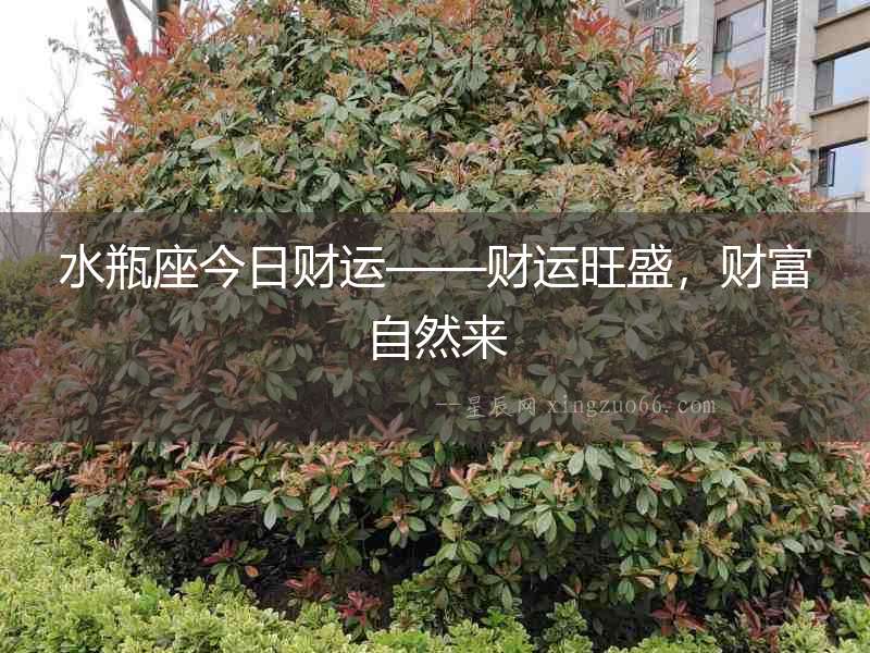 水瓶座今日財運——財運旺盛，財富自然來