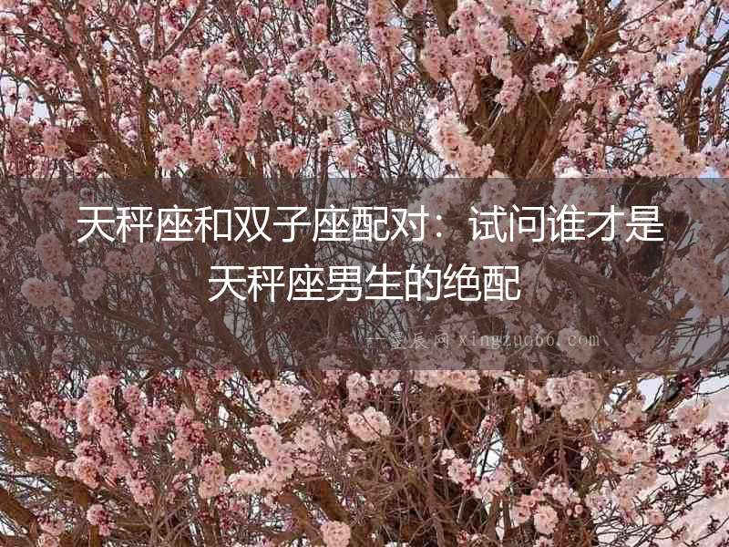  天秤座和雙子座配對：試問誰才是天秤座男生的絕配