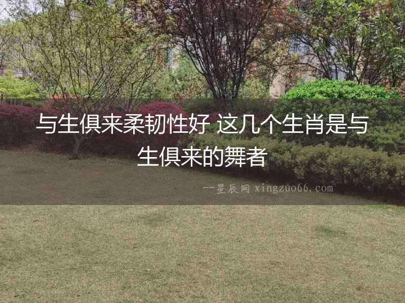 與生俱來柔韌性好 這幾個生肖是與生俱來的舞者