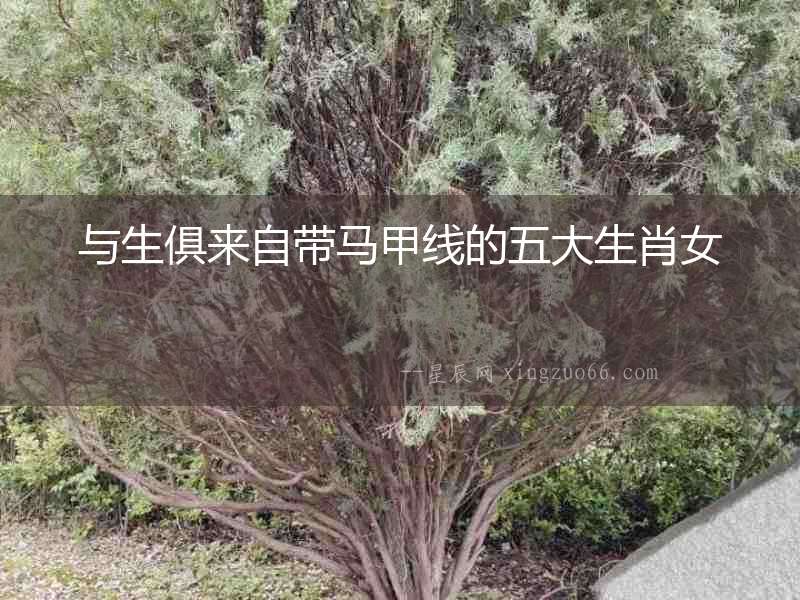 與生俱來自帶馬甲線的五大生肖女