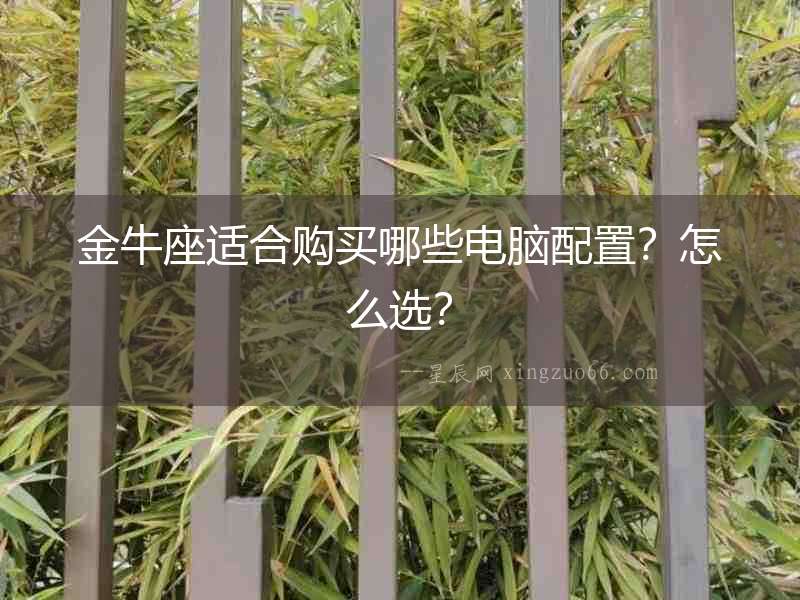 金牛座適合購(gòu)買哪些電腦配置？怎么選？