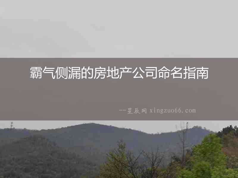 霸氣側(cè)漏的房地產(chǎn)公司命名指南