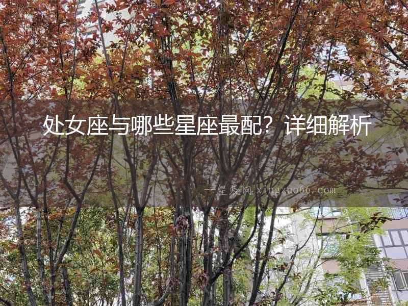  處女座與哪些星座最配？詳細(xì)解析