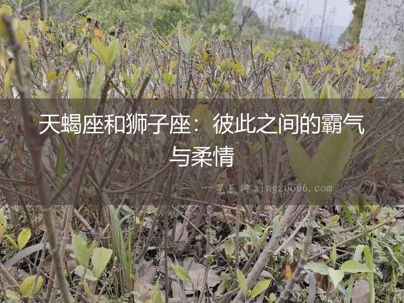 天蝎座和獅子座：彼此之間的霸氣與柔情