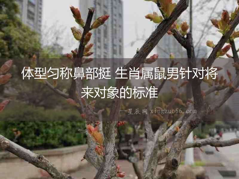 體型勻稱鼻部挺 生肖屬鼠男針對將來對象的標準